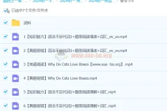 刘飞飞初一英语2024春季班上下合集课程