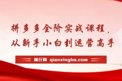 拼多多全阶实战课程：从新手小白到运营高手，海量实战玩法全年实时更新