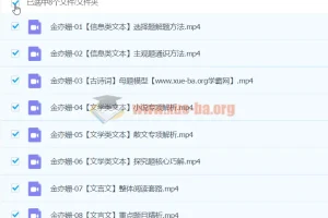 金亦姗高三高考语文寒假班课程