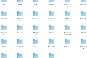 《大热小说作者超大合集》