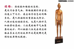 男士健康：高思楠补肾宝典课程