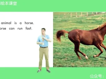 海尼曼Heinemann英语分级读物全套课程