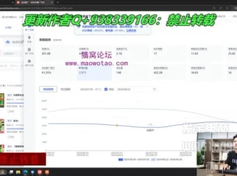 纪主任2024年7月拼多多运营实战课：诊断分析与无损拖价术