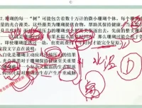 大懒猫言语强化课二期：高效提升言语技巧