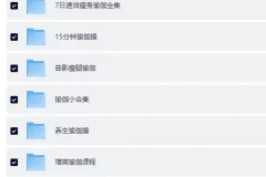 《瑜伽课程合集（七大系列）》