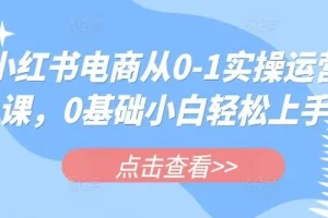 小红书电商实操运营课：助零基础小白轻松上手