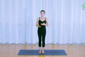 杨淇五行经络瑜伽课：结合中医理论的经络养生术