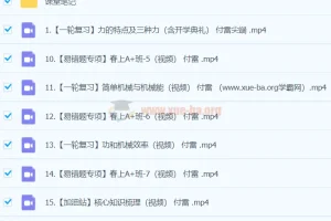 付雷初三物理寒假A+班课程