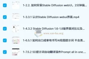 人工智能SD电商图实战：AI绘图从0基础到精通（41节视频课）