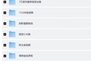 《瑜伽课程合集（七大系列）》