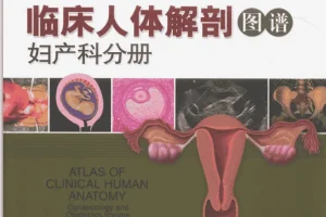 《女性解剖图谱》（彩图版）