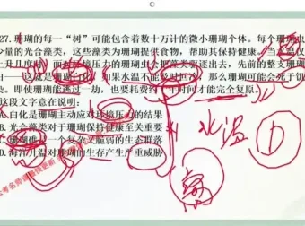 大懒猫言语强化课二期：高效提升言语技巧