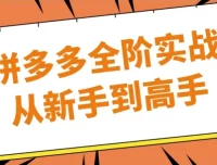 拼多多全阶实战：从新手到高手课程