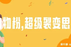 日引200＋购物粉：私域卖货超级裂变思路新玩法课程