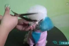 零基础驯狗师课程：幼犬训练与行为纠正全攻略