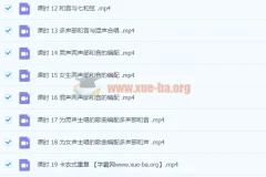 子淼和音编写指南：从基础到进阶