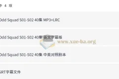 少儿数学启蒙真人剧《数学神奇小队Odd Squad》（中英双版）