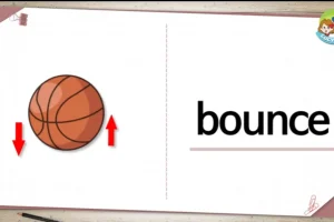 295集小学1000听力词汇视频课