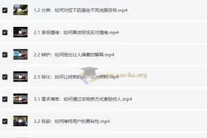 黄执中：35天超级说服力课程