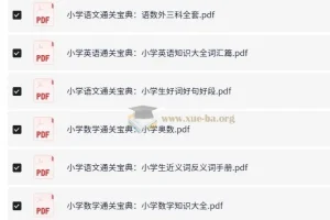 《小学通关宝典》语数外三科全套电子版