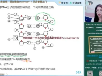2025高考生物周云专题突破班：实验、遗传、调节全攻略
