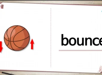 295集小学1000听力词汇视频课