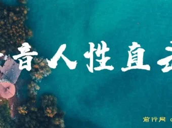 冷门暴利赚钱项目：人性直击图文号视频教程