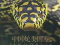 《中国蛇类图鉴》上下册：涵盖245种中国野生蛇类