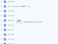 《十天搞定四级词汇：便携版》音频资料