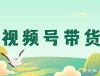 视频号带货：开启视频号开店卖货之旅