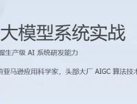 AI大模型系统实战课程（完结）
