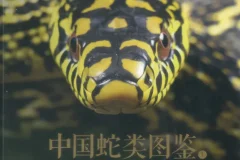 《中国蛇类图鉴》上下册：涵盖245种中国野生蛇类
