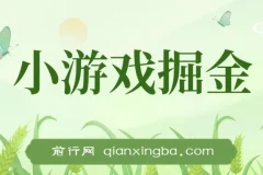 小游戏掘金副业：单机稳定收益，多机操作可行，小白首选