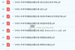 一飞冲天-中考专项精品试题分类（2024 – 2026）