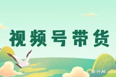 视频号带货：开启视频号开店卖货之旅