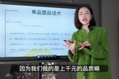 婉婉直播训练营：46节从入门到金牌主播实战课