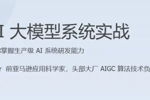 AI大模型系统实战课程（完结）
