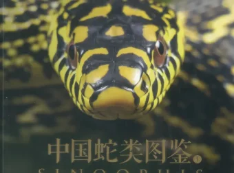《中国蛇类图鉴》上下册：涵盖245种中国野生蛇类