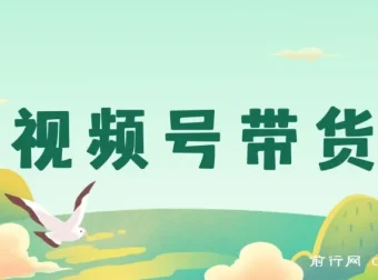 视频号带货：开启视频号开店卖货之旅