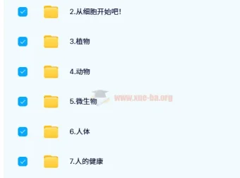 洋葱小学自然课