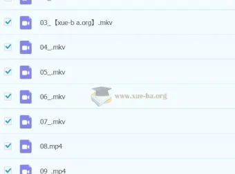 小学语文二年级A+课程：于戈子琦教学