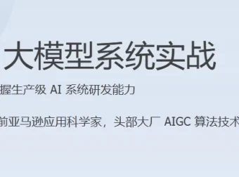 AI大模型系统实战课程（完结）