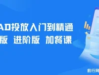 巨量AD投放入门到精通课程：基础版+进阶版+加餐课
