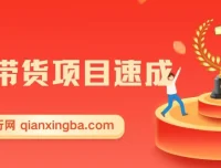 图文带货项目速成课程：无需真人出镜、发货与开播，轻松开启赚钱之路