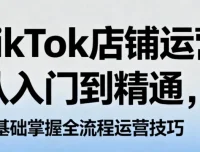 《TikTok店铺运营从入门到精通》：零基础掌握全流程运营技巧