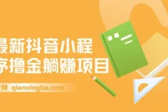 抖音小程序撸金躺赚项目：一部手机半小时，单作品变现1300+