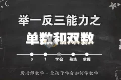 厉老师数学《小学数学系统思维课》：附带讲义与配套习题
