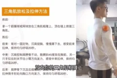 小萝卜四分化健身入门：零基础全身训练指南