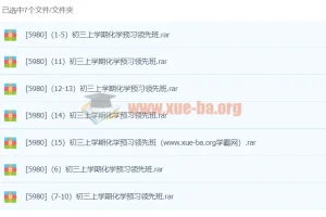 江成初三上学期化学预习领先班
