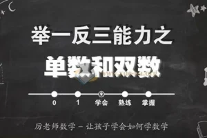 厉老师数学《小学数学系统思维课》：附带讲义与配套习题